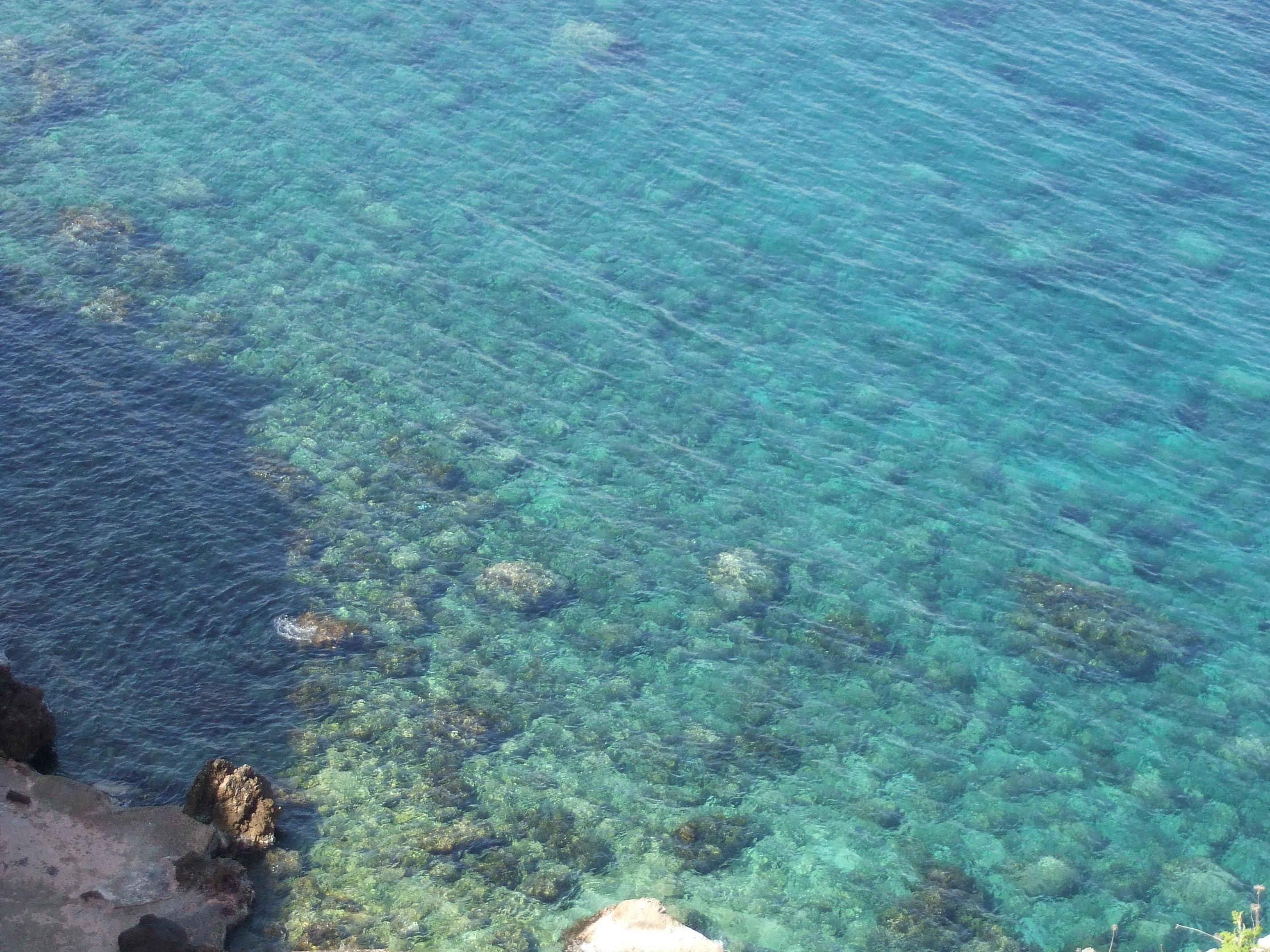 Apartamentos Sa Cala Cala Morell Buitenkant foto